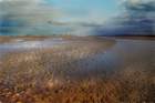 Soleil et sable dans la baie de Somme.