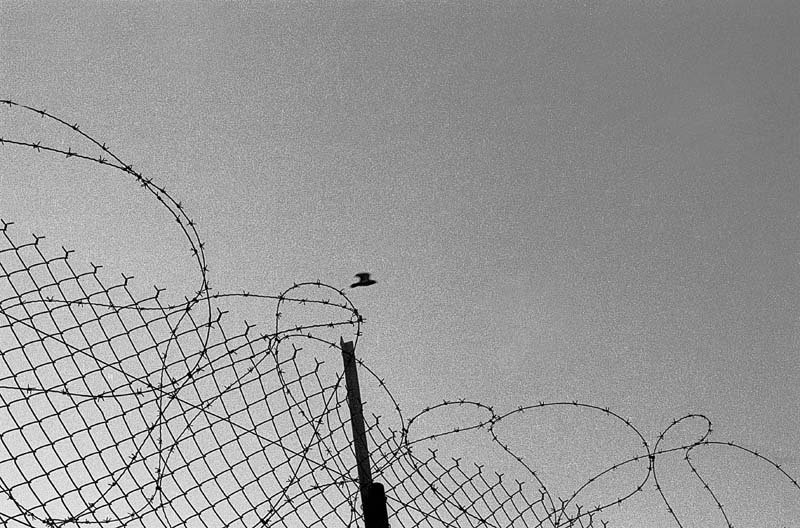 Lyon, barbelés d´une zone militaire de la Croix Rousse.