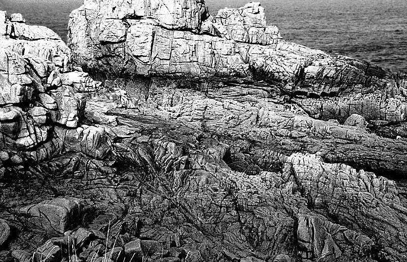 Sur la côte de granit rose, en bordure du sentier des douaniers, vers Ploumanach.